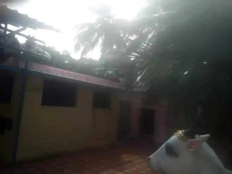 Arulmigu Ayynar Temple, Kallagam - 621653 Temple