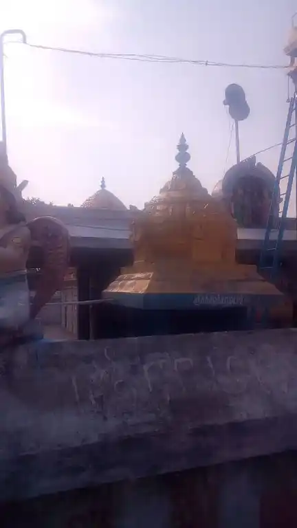 Arulmigu Azagiyamanavalaperumal Temple, Anganoor - 621709 Arulmigu Azagiyamanavalaperumal Temple, Anganoor - 621709, Ariyalur - Ancient Temple Architecture and History Image 6