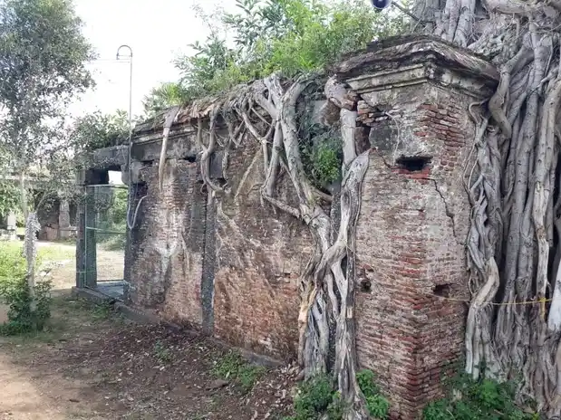 Arulmigu Azhagiya Manavala Perumal, Renugambal Amman Temple, Earivai - 631605 Arulmigu Azhagiya Manavala Perumal, Renugambal Amman Temple, Earivai - 631605, Kancheepuram - Ancient Temple Architecture and History Image 5