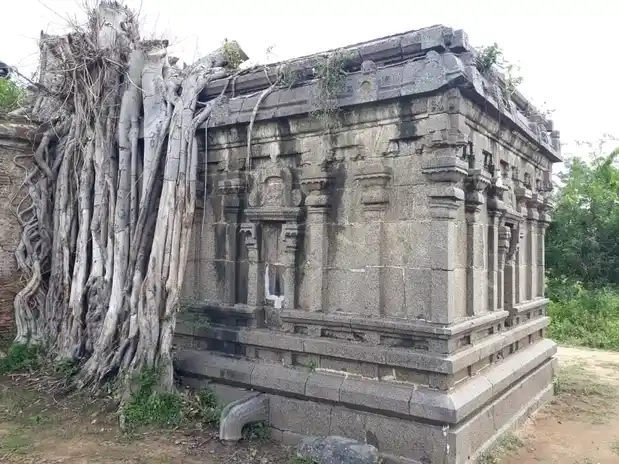 Arulmigu Azhagiya Manavala Perumal, Renugambal Amman Temple, Earivai - 631605 Arulmigu Azhagiya Manavala Perumal, Renugambal Amman Temple, Earivai - 631605, Kancheepuram - Ancient Temple Architecture and History Image 10