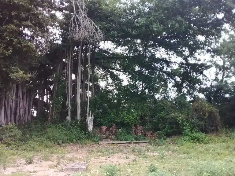 Arulmigu Azhagiya Nacchiyamman Temple, Nallur - 622002