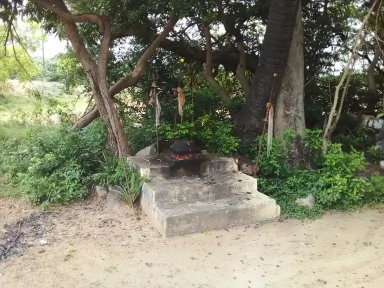 Arulmigu Azhagiya Nacchiyamman Temple, Nallur - 622002 அருள்மிகு அழகியநாச்சியம்மன் திருக்கோயில், Nallur - 622002, Pudukkottai - Ancient Temple Architecture and History Image 2