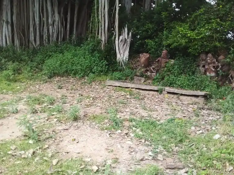 Arulmigu Azhagiya Nacchiyamman Temple, Nallur - 622002 அருள்மிகு அழகியநாச்சியம்மன் திருக்கோயில், Nallur - 622002, Pudukkottai - Ancient Temple Architecture and History Image 6