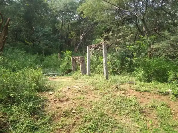 Arulmigu Azhagiya Narasingaperumal and Veerapathara Ayyanar Temple, Senthamangalam - 625503 அருள்மிகு அழகிய நரசிங்கப்பெருமாள் திருக்கோயில், சேந்தமங்கலம் - 625503, Madurai - Ancient Temple Architecture and History Image 2