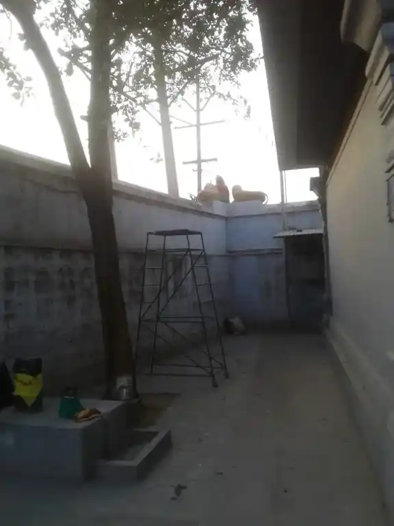 Arulmigu Azhagunachiamman Temple, Pollachi - 642001 அருள்மிகு அழகுநாச்சியம்மன் திருக்கோயில், Pollachi - 642001, Coimbatore - Ancient Temple Architecture and History Image 3