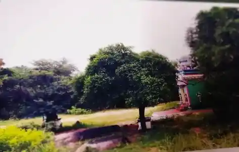 Arulmigu Azhagunachiamman Temple, Velichanatham - 625014 அருள்மிகு அழகுநாச்சியம்மன் திருக்கோயில், Velichanatham - 625014, Madurai - Ancient Temple Architecture and History Image 2