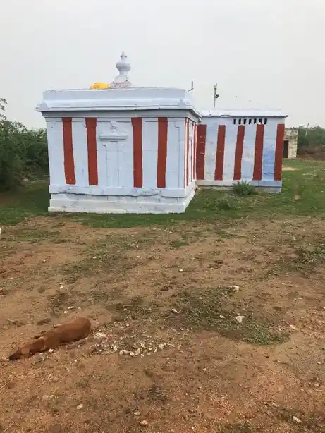 Arulmigu Azhakiya Naachiyaaramman Temple, Kottour, Palayamkottai - 627002 அருள்மிகு அழகிய நாச்சியாரம்மன் திருக்கோயில், Kottour, Palayamkottai - 627002, Tirunelveli - Ancient Temple Architecture and History Image 2