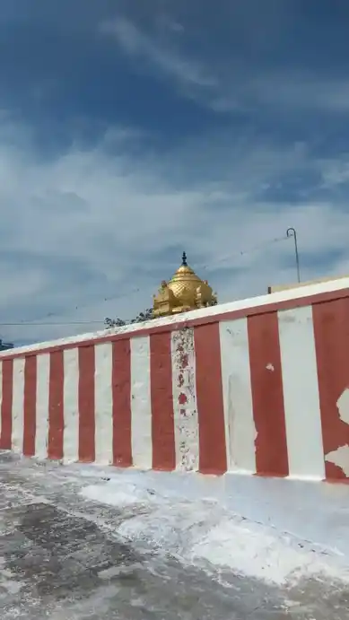 Arulmigu Azhaku Thirumalai Raya Perumal Temple, Arthanaripalayam, Pollachi - 642007 அருள்மிகு அழகுதிருமலைராயப்பெருமாள் திருக்கோயில், Arthanaripalayam, Pollachi - 642007, Coimbatore - Ancient Temple Architecture and History Image 3