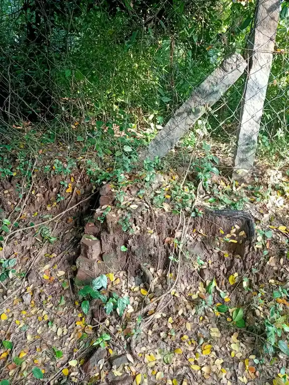 Arulmigu Baalambigai Temple, Mettupalayam - 614715 பாலாம்பிகை திருக்கோயில், Mettupalayam - 614715, Thiruvarur - Ancient Temple Architecture and History Image 5