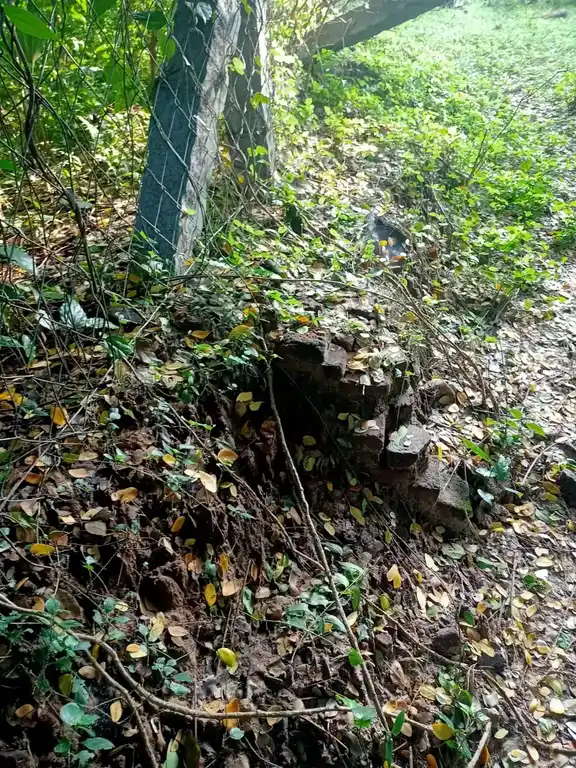 Arulmigu Baalambigai Temple, Mettupalayam - 614715 பாலாம்பிகை திருக்கோயில், Mettupalayam - 614715, Thiruvarur - Ancient Temple Architecture and History Image 7