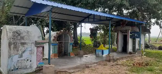 Arulmigu Badhrakaliamman Temple, Thillaivilagam - 614706