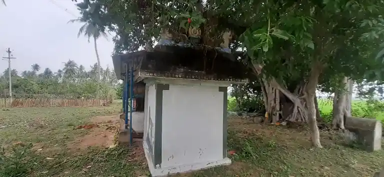 Arulmigu Badhrakaliamman Temple, Thillaivilagam - 614706 அருள்மிகு பத்ரகாளியம்மன் திருக்கோயில், Thillaivilagam - 614706, Thiruvarur - Ancient Temple Architecture and History Image 4