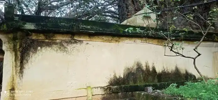 Arulmigu Bagavathi Amman Temple, Kaunnakkal - 629251 அருள்மிகு பகவதி அம்மன் திருக்கோயில், Kaunnakkal - 629251, Kanyakumari - Ancient Temple Architecture and History Image 2