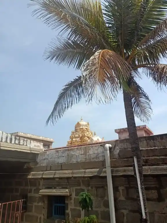 Arulmigu Bagavathiamman Temple, Kanyakumari - 629702