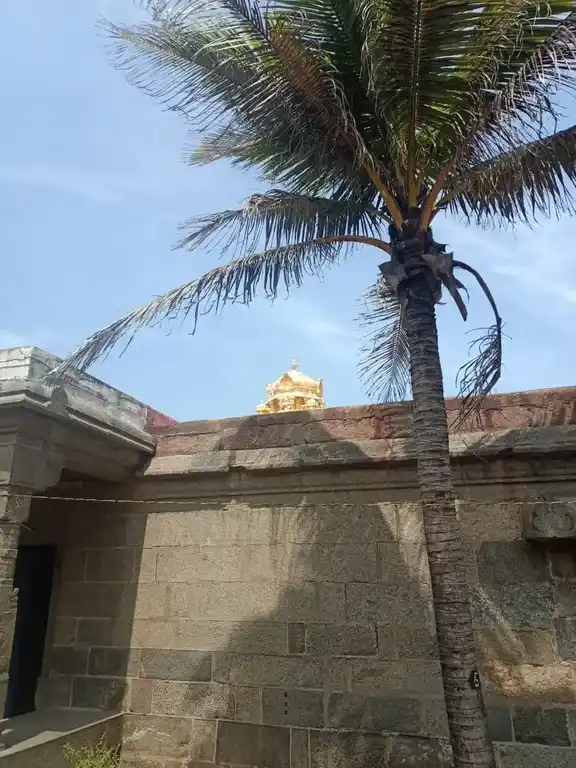 Arulmigu Bagavathiamman Temple, Kanyakumari - 629702 அருள்மிகு பகவதியம்மன் திருக்கோயில், Kanyakumari - 629702, Kanyakumari - Ancient Temple Architecture and History Image 4