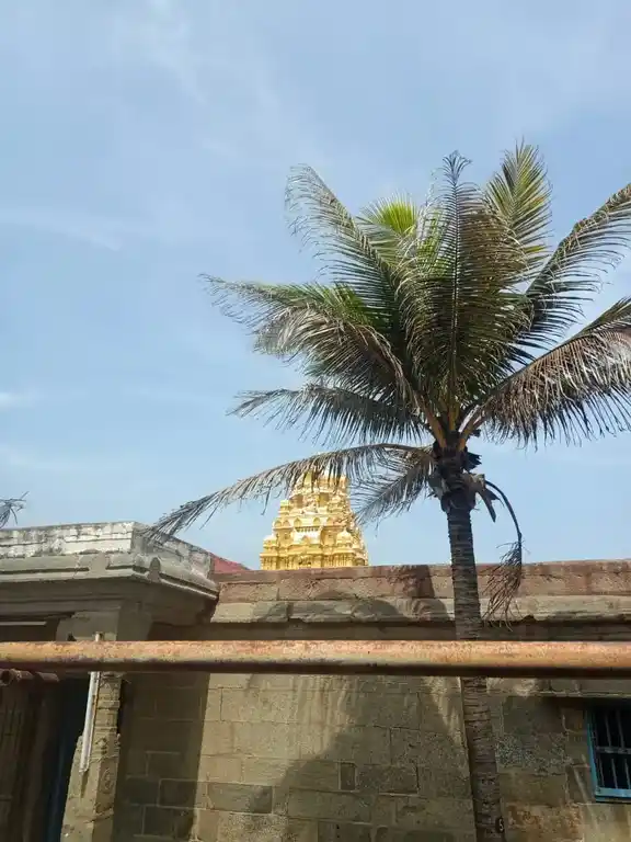 Arulmigu Bagavathiamman Temple, Kanyakumari - 629702 அருள்மிகு பகவதியம்மன் திருக்கோயில், Kanyakumari - 629702, Kanyakumari - Ancient Temple Architecture and History Image 5