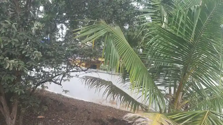 Arulmigu Bagavathiamman Temple, Periyanegamam - 642120 Arulmigu Bagavathiamman Temple, Periyanegamam - 642120, Coimbatore - Ancient Temple Architecture and History Image 3