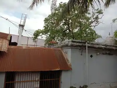 Arulmigu Bagavathiyamman Temple, Keeranoor, Kulathur - 622502 அருள்மிகு பகவதியம்மன் திருக்கோயில், கீரனூர், Kulathur - 622502, Pudukkottai - Ancient Temple Architecture and History Image 2