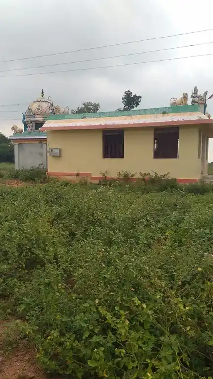 Arulmigu Bagavathyamman Temple, Sekkanam - 621307 Arulmigu Bagavathyamman Temple, Sekkanam - 621307, Thiruchirappalli - Ancient Temple Architecture and History Image 4