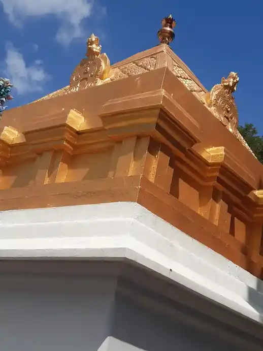 Arulmigu Bagavathyammn Temple, Vellakoil - 638111 அருள்மிகு பகவதியம்மன் திருக்கோயில்,  - 638111, Tiruppur - Ancient Temple Architecture and History Image 7