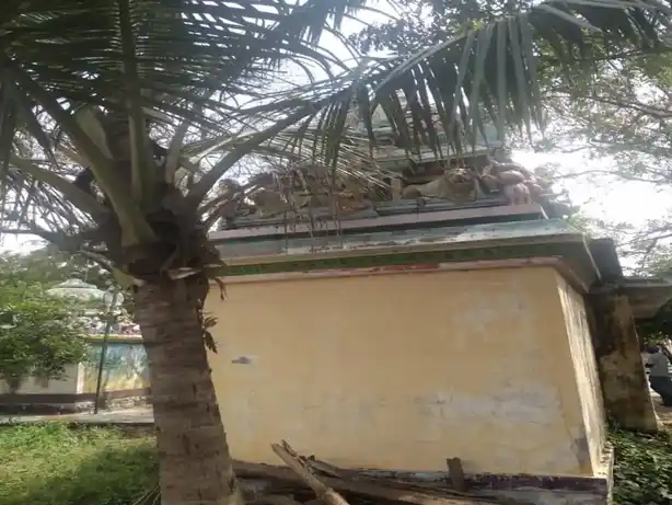 Arulmigu Bahavathiamman Temple, Kanapadi - 624802 அருள்மிகு பகவதியம்மன் கோயில், Kanapadi - 624802, Dindigul - Ancient Temple Architecture and History Image 4