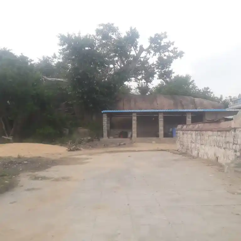 Arulmigu Bahavathiyamman Temple, Erukkumanippatti - 622102