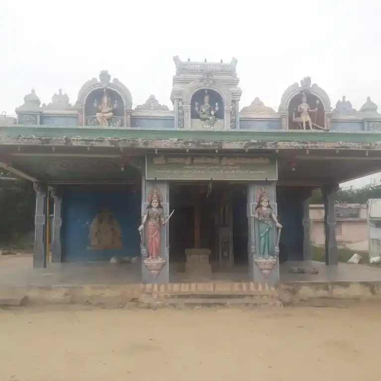 Arulmigu Bahavathiyamman Temple, Erukkumanippatti - 622102 அருள்மிகு பகவதியம்மன் திருக்கோயில், Erukkumanippatti - 622102, Pudukkottai - Ancient Temple Architecture and History Image 2
