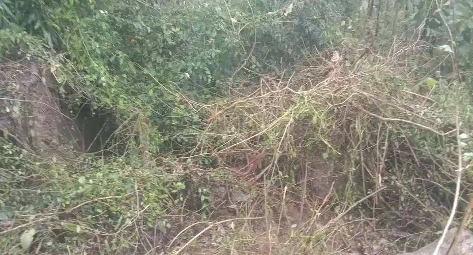 Arulmigu Bairavanatheeswarar Temple, Kandipedu - 632106 அருள்மிகு பைரவ நாதீஸ்வரர் திருக்கோயில், கண்டிப்பேடு - 632106, Vellore - Ancient Temple Architecture and History Image 2