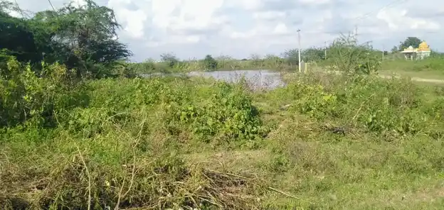 Arulmigu Bajanai Temple, Nattarasampattu - 601301 Arulmigu Bajanai Temple, Nattarasampattu - 601301, Kancheepuram - Ancient Temple Architecture and History Image 2