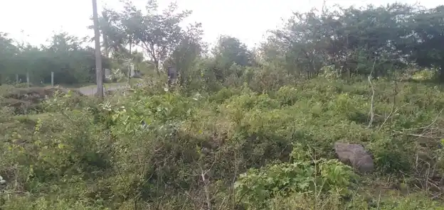 Arulmigu Bajanai Temple, Nattarasampattu - 601301 Arulmigu Bajanai Temple, Nattarasampattu - 601301, Kancheepuram - Ancient Temple Architecture and History Image 3