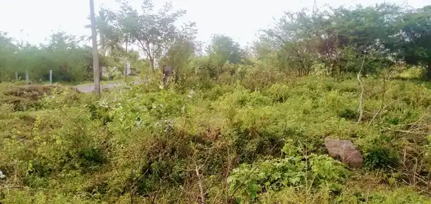 Arulmigu Bajanai Temple, Nattarasampattu - 601301 Arulmigu Bajanai Temple, Nattarasampattu - 601301, Kancheepuram - Ancient Temple Architecture and History Image 4