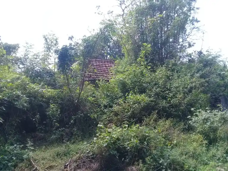 Arulmigu Bajananimariamman Temple, Devarayapuram - 642109