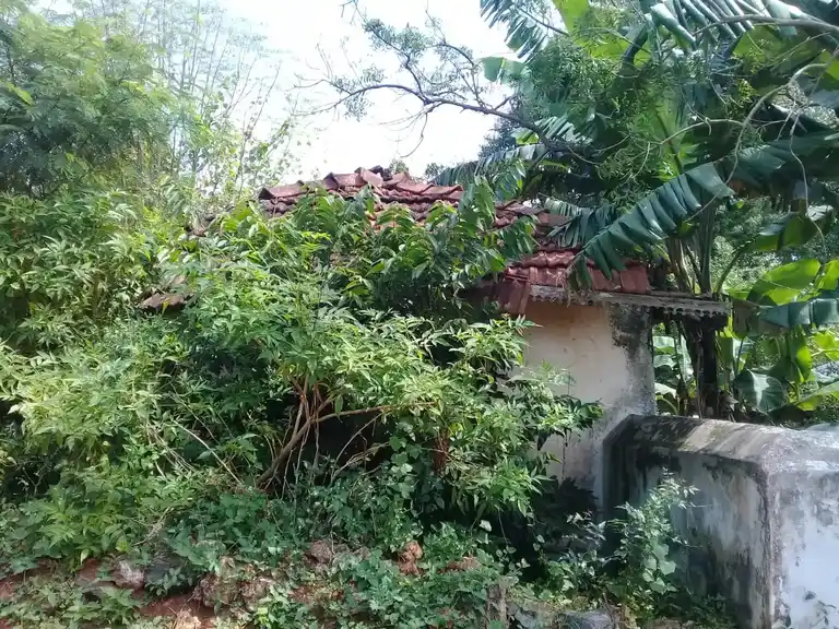 Arulmigu Bajananimariamman Temple, Devarayapuram - 642109 அருள்மிகு பஜனை மாரியம்மன் திருக்கோயில், Devarayapuram - 642109, Coimbatore - Ancient Temple Architecture and History Image 2