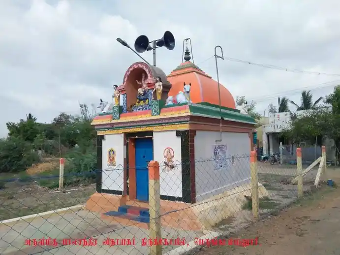 Arulmigu Bala Chandra Vinayagar Temple, Perukadambanur - 611108 அருள்மிகு பாலசந்திர விநாயகர் திருக்கோயில், Perukadambanur - 611108, Nagapattinam - Ancient Temple Architecture and History Image 4