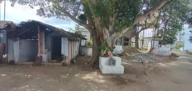 Arulmigu Bala Dandayuthapani Temple, Chellapapalayam - 642207 அருள்மிகு பாலதண்டாயுதபாணிசாமி திருக்கோயில், Chellapapalayam - 642207, Tiruppur - Ancient Temple Architecture and History Image 3