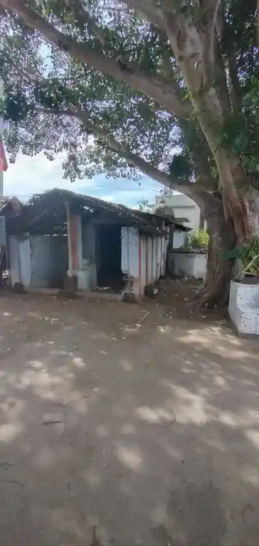 Arulmigu Bala Dandayuthapani Temple, Chellapapalayam - 642207 அருள்மிகு பாலதண்டாயுதபாணிசாமி திருக்கோயில், Chellapapalayam - 642207, Tiruppur - Ancient Temple Architecture and History Image 4