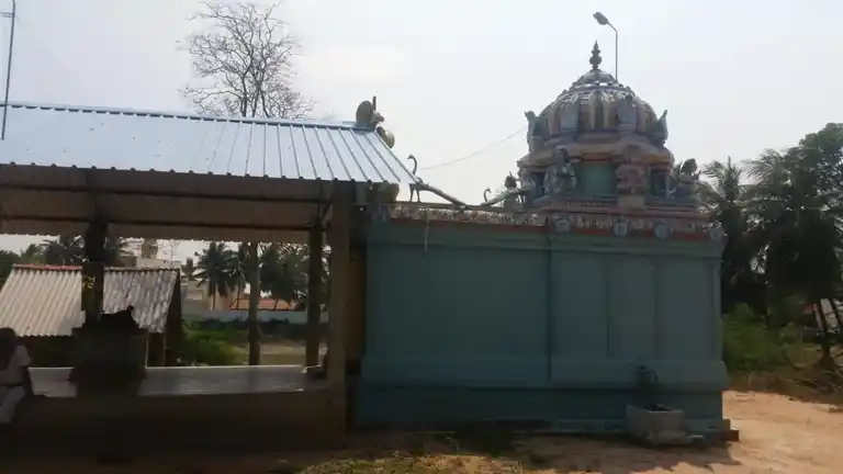 Arulmigu Bala Thandayuthapani Temple, Singavanam - 614630 அருள்மிகு பால தண்டாயுதபாணி சுவாமி திருக்கோயில், Singavanam - 614630, Pudukkottai - Ancient Temple Architecture and History Image 2