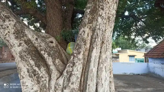 Arulmigu Bala Vinayagar Temple, Vitilapuram - 628601