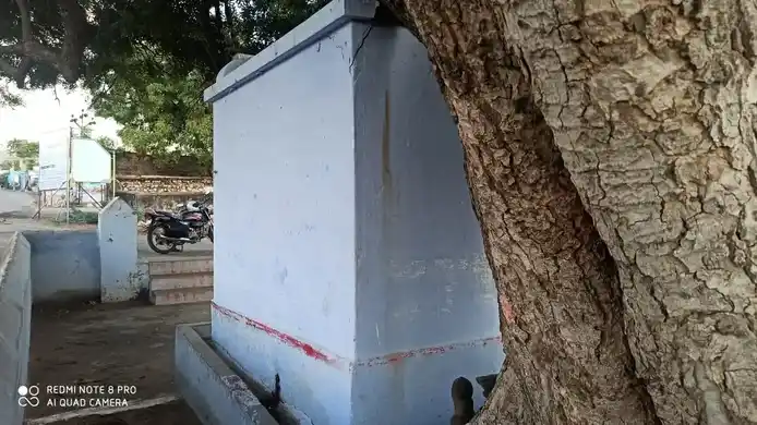 Arulmigu Bala Vinayagar Temple, Vitilapuram - 628601 அருள்மிகு பாலவிநாயகர் திருக்கோயில், Vitilapuram - 628601, Thoothukudi - Ancient Temple Architecture and History Image 4