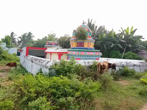 Arulmigu Balaganapathy Pidari Theniamman Temple, Vangaram - 603406 அருள்மிகு பாலகணபதி பிடாரி தேனியம்மன் திருக்கோயில், வங்காரம் - 603406, Kancheepuram - Ancient Temple Architecture and History Image 7
