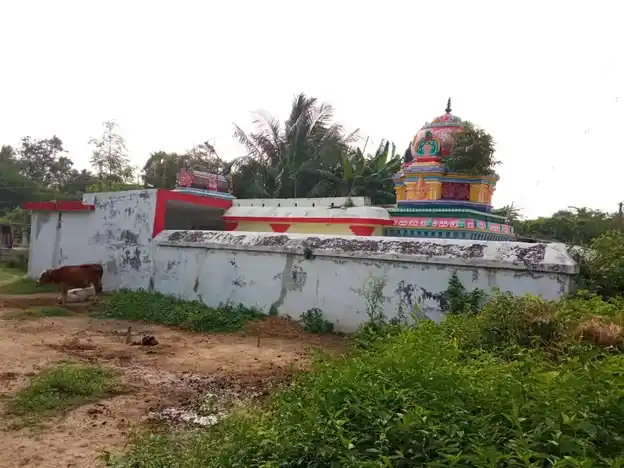 Arulmigu Balaganapathy Pidari Theniamman Temple, Vangaram - 603406 அருள்மிகு பாலகணபதி பிடாரி தேனியம்மன் திருக்கோயில், வங்காரம் - 603406, Kancheepuram - Ancient Temple Architecture and History Image 8