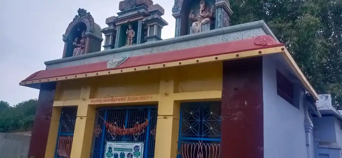 Arulmigu Balaganapathy Temple, Perurchettipalayam - 642203 அருள்மிகு பாலகணபதி திருக்கோயில்&nbsp;பேரூர்ச்செட்டிபாளையம், பேரூர்ச்செட்டிபாளையம் - 642203, Coimbatore - Ancient Temple Architecture and History Image 5
