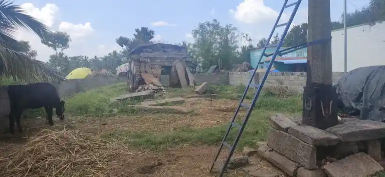 Arulmigu Balakrishna Swamy Temple, Nayakkanahalli - 636704