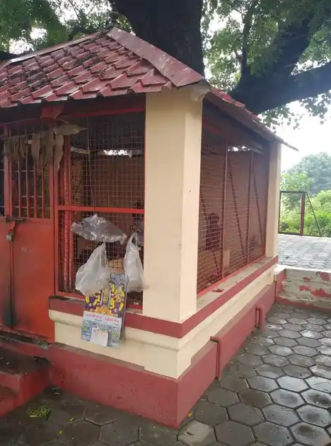 Arulmigu Balamarathu Vinayagar Temple, Rakkiyampalayam - 641654 அருள்மிகு பாலமரத்து விநாயகர் திருக்கோயில், Rakkiyampalayam - 641654, Tiruppur - Ancient Temple Architecture and History Image 5