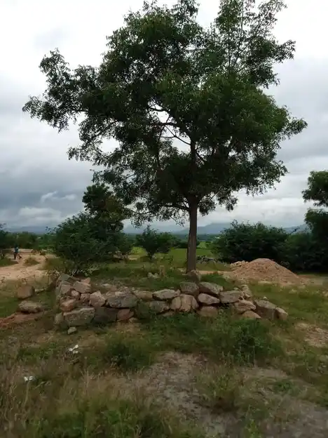 Arulmigu Balamethai Kannimar Temple, Periyapatti - 621305 Arulmigu Balamethai Kannimar Temple, Periyapatti - 621305, Thiruchirappalli - Ancient Temple Architecture and History Image 4