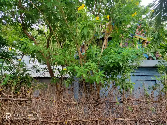 Arulmigu Balamurugan Temple, Kaliamalai - 608301 அருள்மிகு பாலமுருகன் திருக்கோயில், Kaliamalai - 608301, Cuddalore - Ancient Temple Architecture and History Image 7