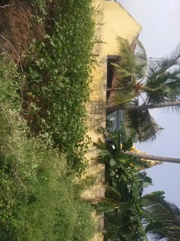 Arulmigu Balamurugan Temple, Kallaanaththam - 606201