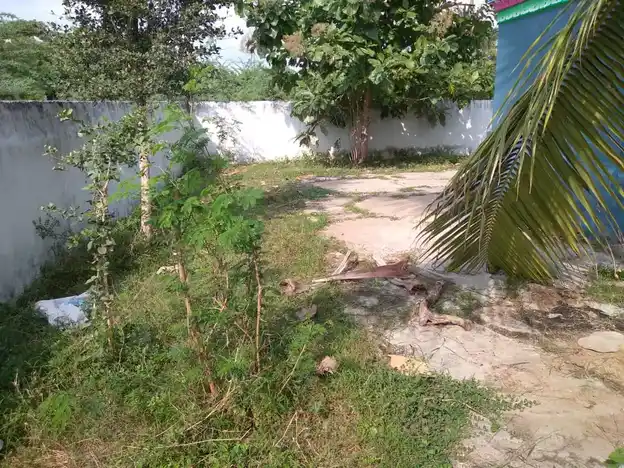 Arulmigu Balamurugan Temple, Kodungal - 605755 அருள்மிகு பாலமுருகன் திருக்கோயில், Kodungal - 605755, Viluppuram - Ancient Temple Architecture and History Image 2