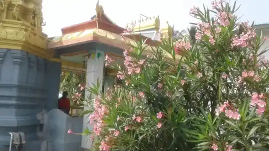 Arulmigu Balamurugan Temple, Thasappagoundenputhur - 638503 அருள்மிகு பாலமுருகன் திருக்கோயில், Thasappagoundenputhur - 638503, Erode - Ancient Temple Architecture and History Image 2