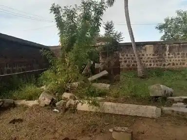 Arulmigu Balapureeswarar Temple, Kovilur, Alangudi Taluk - 622301 அருள்மிகு பாலபுரீஸ்வரர் திருக்கோயில், கோவிலூர், ஆலங்குடி வட்டம் - 622301, Pudukkottai - Ancient Temple Architecture and History Image 4